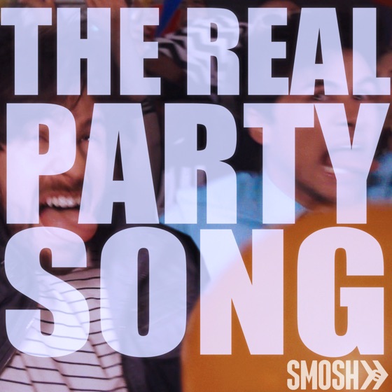 Cover artwork for The Real Party Song