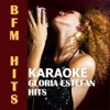 Karaoke: Gloria Estefan Hits, 2013