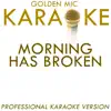 Morning Has Broken (In the Style of Cat Stevens) [Karaoke Version] - Single album lyrics, reviews, download