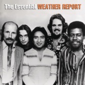 The Essential Weather Report artwork