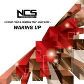 Waking Up (feat. Jonny Rose) artwork