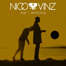 Am I Wrong artwork