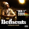Skin a Burn - EP