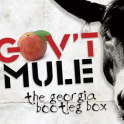 Georgia Bootleg - Gov't Mule