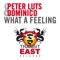 What a Feeling - Peter Luts lyrics