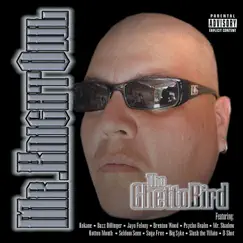 The Ghetto Bird by Mr. Knightowl album reviews, ratings, credits