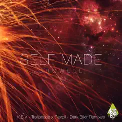 Self Made by Various Artists album reviews, ratings, credits