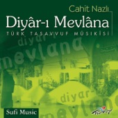 Diyar-ı Mevlâna (Türk Tasavvuf Musıkisi) [feat. Süleyman Yardım] artwork