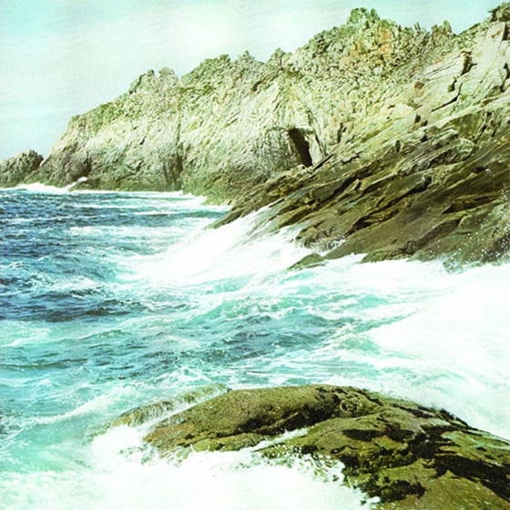 Cover artwork for Real Love Fantasy