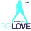 Big Love Remixes Part 2 - EP album lyrics, reviews, download