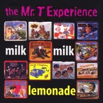 The Mr. T Experience - What Do You Want?