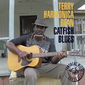 Catfish Blues artwork