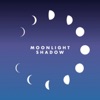 Moonlight Shadow (Remix) - Single