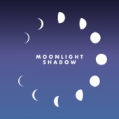 Moonlight Shadow (Remix) [Radio Edit] artwork