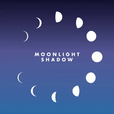 Moonlight Shadow (Remix) - Single - Maggie Reilly