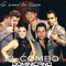 No Sé Como Me Enamoré (feat. Grupo Extra) - El Combo Dominicano lyrics