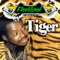 Rain From the Sky (feat. Anthony Malvo) - Tiger lyrics