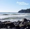 California Surfing (Headphone Mix) - Darwin Chamber lyrics