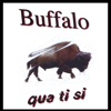 Buffalo artwork