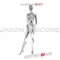 She's With Me Now - Jason Score lyrics