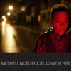 Meshell Ndegeocello - Oysters