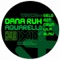 Grün - Dana Ruh lyrics