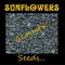 Sun-Flower - Sunflowers lyrics