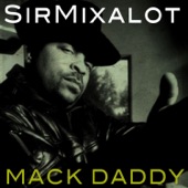 Sir Mix-A-Lot - Baby Got  Back