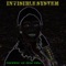 Tej (feat. Grazella Luigi) - Invisible System lyrics