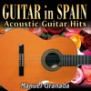 Manuel Granada - Mrs. Robinson