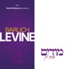 Baruch Levine 4: Modim