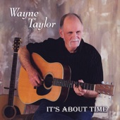 Wayne Taylor - All My Friends Are Gonna Be Strangers