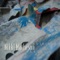 To Lay Me Down (feat. Richard Shindell) - Nikki Matheson lyrics