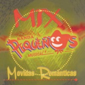 No Necesitas a Carlo - Banda Pequeños Musical