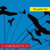 Cameristico - Riccardo Tesi
