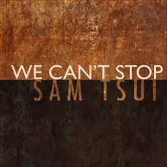 We Can't Stop Song Lyrics