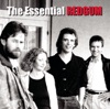 I Was Only 19 (A Walk in the Light Green) by Redgum iTunes Track 1