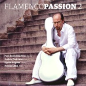 Flamenco Passion 2 artwork