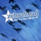 We're Not a Cover Band, We're a Tribute Band - Zebrahead lyrics