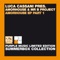 Amorhouse  (Luca Cassani Remix) - Amorhouse, Luca Cassani & Mr B lyrics