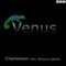 Venus (Extended Mix) [feat. Rebecca Sparks] - Chameleon lyrics