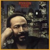 Marvin Gaye - My Love is Waiting