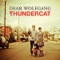Thundercat - Dear Wolfgang lyrics