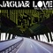 Bats Over the Pacific Ocean - Jaguar Love lyrics