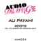 Roots (Feenixpawl Remix.) - Ali Payami lyrics