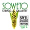 Magaliesburgse Aandlied - Soweto String Quartet lyrics