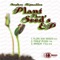 Plant The Seeds ft Trinidadian Deep - Stephen Rigmaiden lyrics