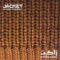 Sing Tonight - Mohsen Chavoshi lyrics