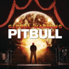 bajar descargar mp3 Feel This Moment (feat. Christina Aguilera) - Pitbull