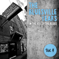 Various Artists - The Bluesville Years, Vol. 4: In the Key of the Blues artwork